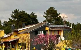 Casa Da Oliveira